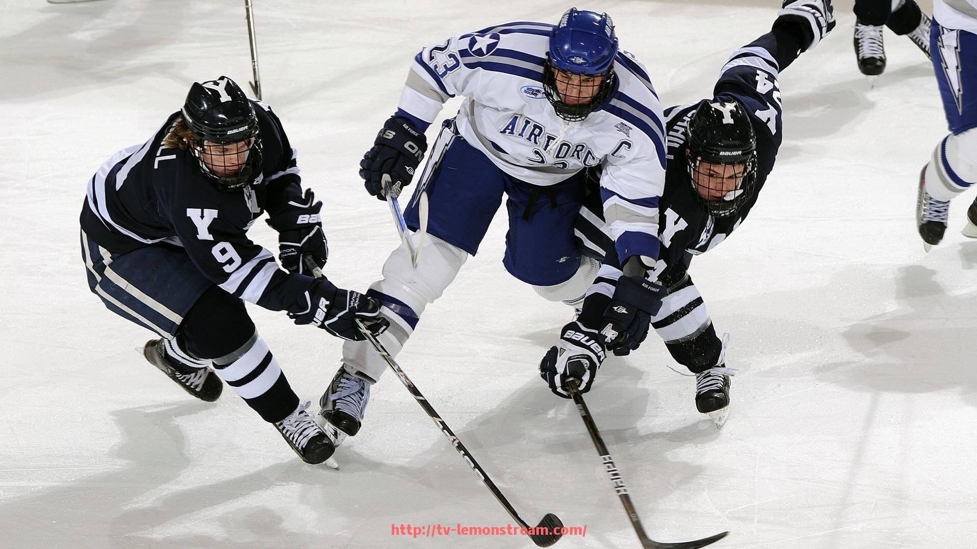 柠檬体育直播-2025年意甲防守能力最佳球队排名及战术分析