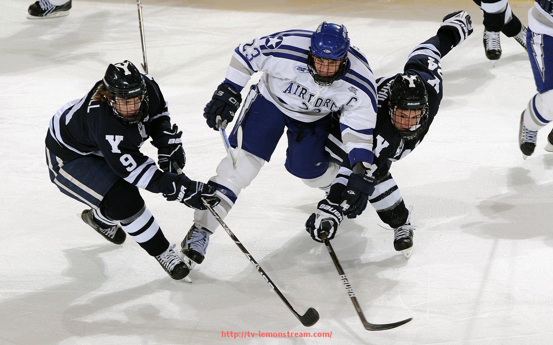 柠檬体育直播-意甲名将Toni效力球队记录与职业生涯回顾