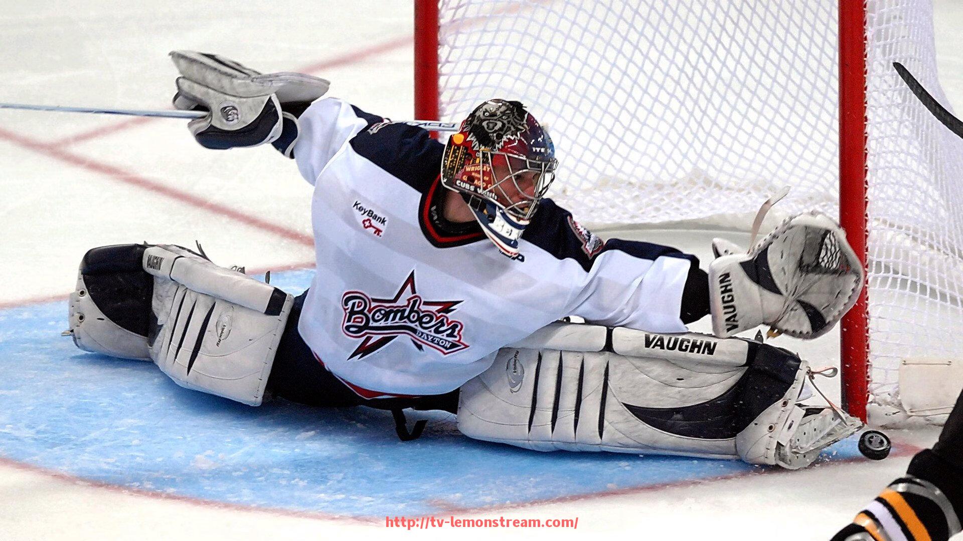 柠檬体育直播-提供参考的世俱杯商业合作合同范本下载与使用说明