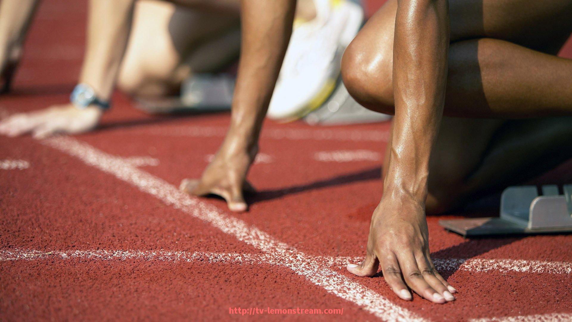 柠檬体育直播-世俱杯球员护具获得的国际防护等级认证及行业认可情况